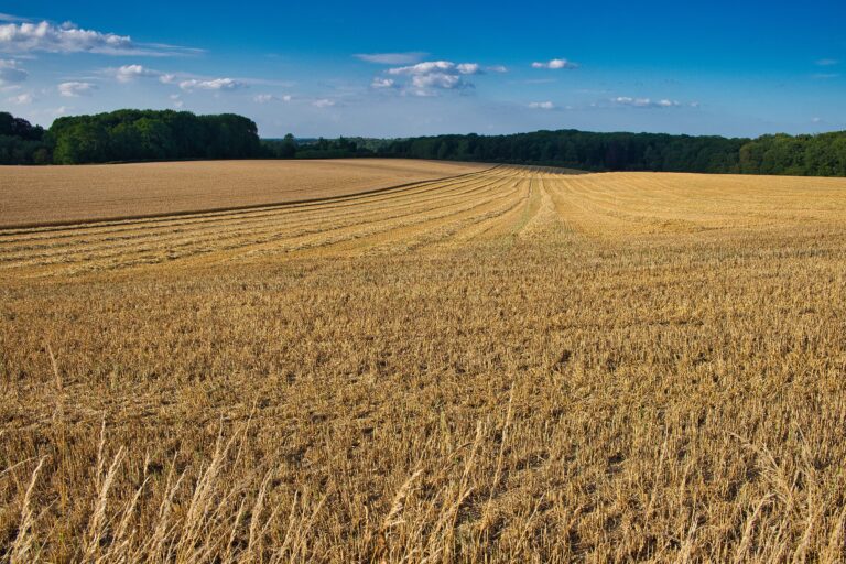 Vote de la loi d&rsquo;urgence agricole : un signal fort en faveur de nos agriculteurs